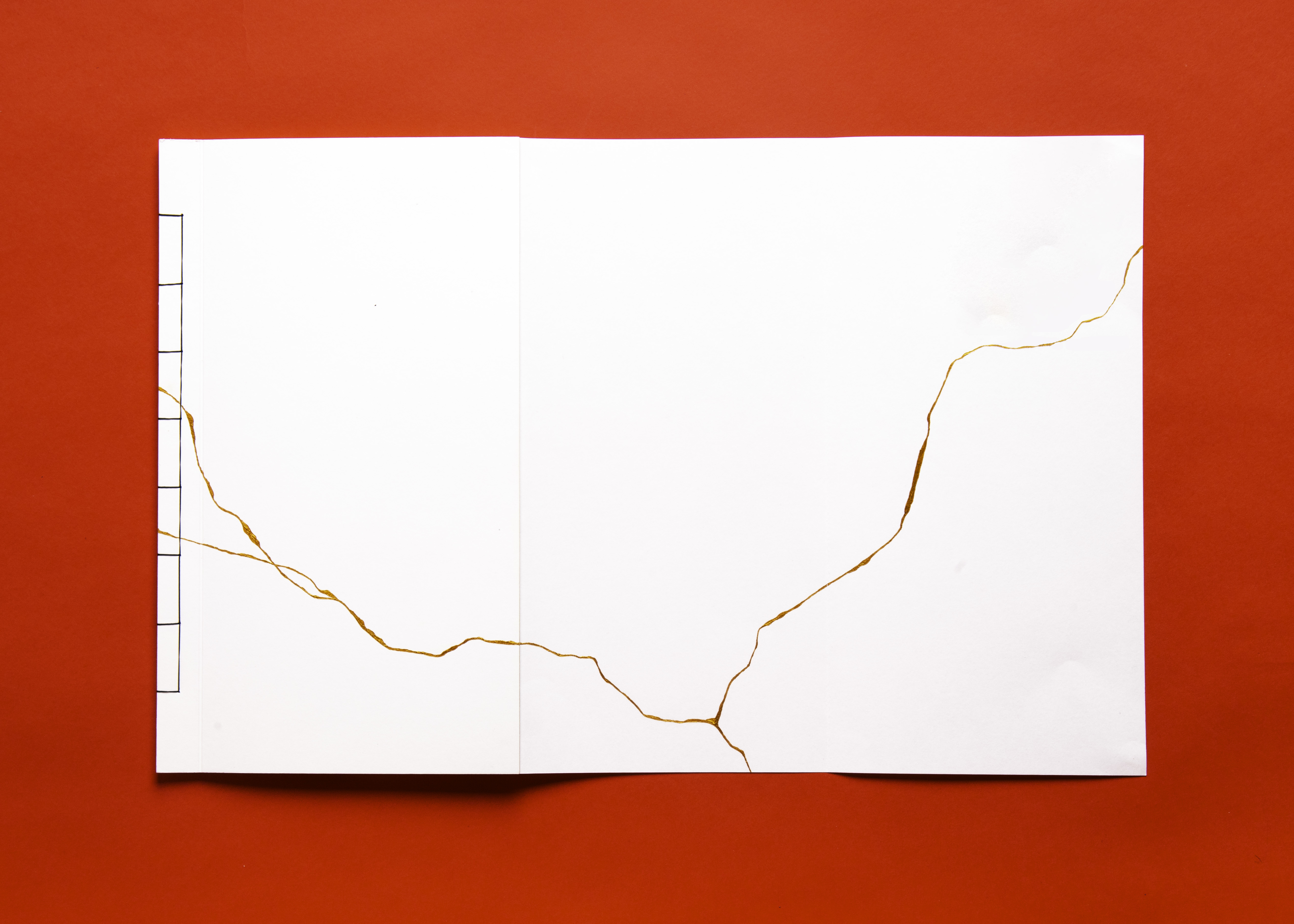 Trajectoires de l'adoption Couverture Leporello