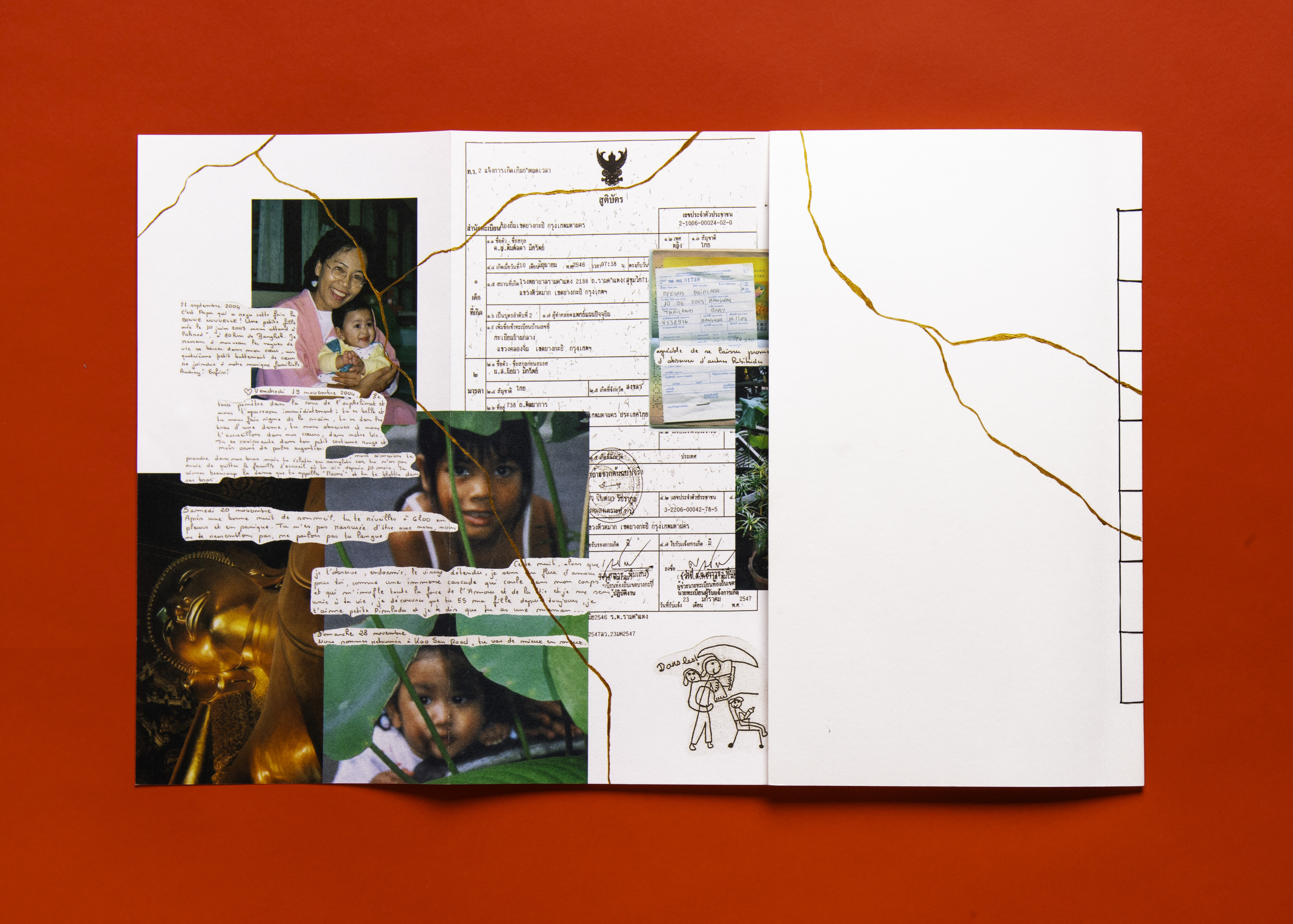 Trajectoires de l'adoption Leporello Collage